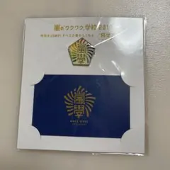 嵐のワクワク学校2019 ピンバッジ