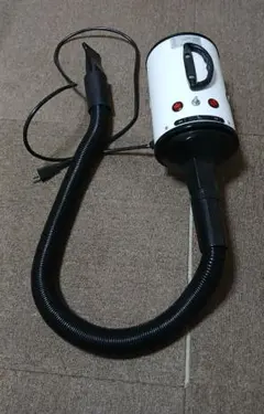 Item thumbnail for item 2fb34721-6555-4be7-a2b2-b7e5f65f5e08