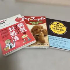 Item thumbnail for item 9efbf2ed-da22-436c-a11c-b382253b1e36