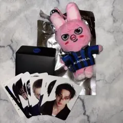 StrayKids スキズ KARMA SKZOOver Dwaekki