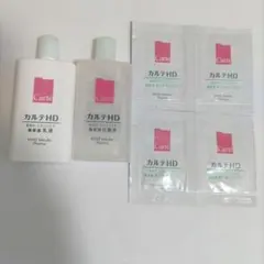 カルテHD サンプルのサムネイル