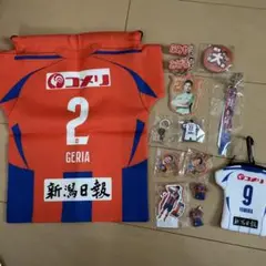 アルビレックス新潟