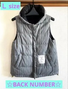 ストライプ柄 ダウンベスト Ｌ