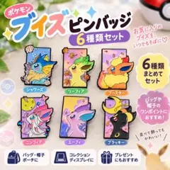포켓몬 ブイズ ピンバッジ 6種類セット 신품