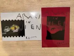 ARAKI IN WIEN　荒木経惟　2冊セット