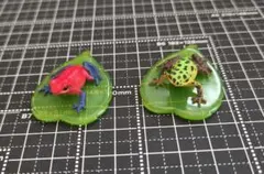 ヤドクガエル　フィギュア　セット