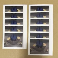 ぱしゃこれ 劇場版チェンソーマン レゼ篇 ビーム 11枚セット