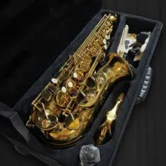 Addie アルトサックス 本体 ケース付き ほぼ新品 Addie アルトサックス 本体 ケース付き ほぼ新品 - メルカリ