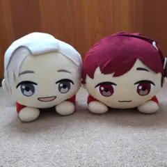 BTS TinyTAN 寝そべりぬいぐるみ 2種セット RM J-HOPE