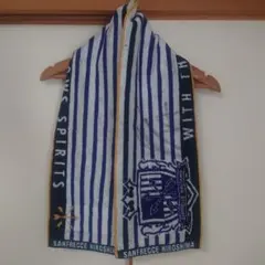 サンフレッチェ広島 田中聡