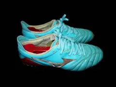 Item thumbnail for item 63a5ef50-0515-4650-aa49-6f690adc1ce4