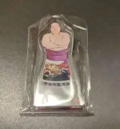 宝富士　アクリルスタンド　大相撲　ガチャ