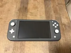 Nintendo Switch Lite グレー 本体 ケース 充電ケーブル