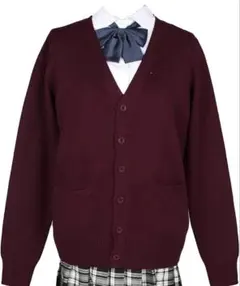 [Blostirno] スクールカーディガン　ワインＬ ⭐︎ディズニー着用