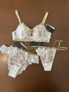 新品未使用サルート　17G　C70 WHブラ&ショーツ&ソング 3点セット