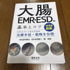 Item thumbnail for item 5df3caf8-ac57-4121-b078-86bc8f94565b