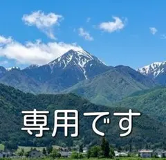 ネズミちゃん様専用　摘果りんご　20キロ　大きめ　70ミリ以上　1