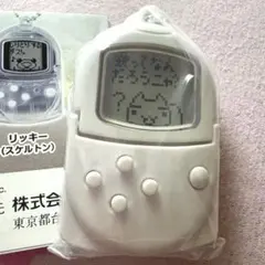 未開封　ポケットステーション　どこでもいっしょ ミニチュアチャーム トロ