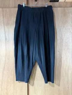 2026年最新】HOMME PLISSE ISSEY MIYAKE カラー：ブラック系 メンズ
