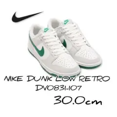 NIKE DUNK LOW RETRO DV0831-107