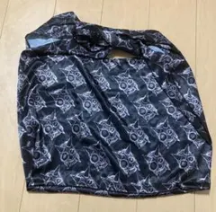 Item thumbnail for item 7c36f547-91cf-44f9-aca2-c80fb3b26ea1