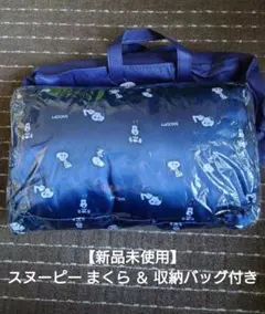 Item thumbnail for item 01c3021b-839f-4416-b80d-5bddf797bbb7