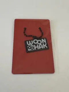 BOYNEXTDOOR ウナク　キーホルダー　The Action ①