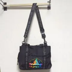 【美品】ディズニーリゾート 2way ショルダーバッグ ドリーミングインカラー