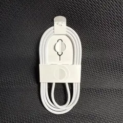 Apple純正 編み込み式 USB-C充電ケーブル 新品未使用品　タイプC