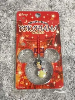 ディズニーオンツアー 横浜限定 ミッキー