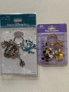 東京ディズニーリゾート キーチェーン 2個セットのサムネイル