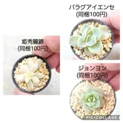 HiroKey様 リクエスト 3点 まとめ商品