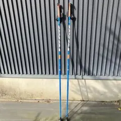 2025年最新】クロスカントリースキーポールの人気アイテム