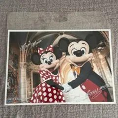 東京ディズニーリゾート ミッキー＆ミニー フォト