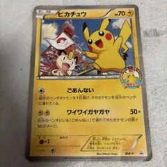 2026年最新】ポケモンカードゲームサマーカーニバルin東京タワーの人気