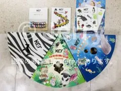 Item thumbnail for item be2c1108-7d02-4398-956b-791371587676