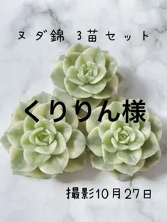 くりりん様 リクエスト 3点 まとめ商品