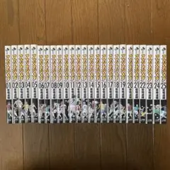 ファンタジスタ 全25巻セット