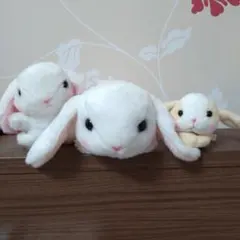 ぽてうさろっぴー ぬいぐるみ 3点セット　マスコット