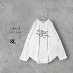 Item thumbnail for item 9113f039-01de-487b-aeed-aeff8cfc71ee