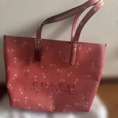 ☆極美品☆激レア☆COACH さくらんぼ チェリー 刺繍 トートバッグ 