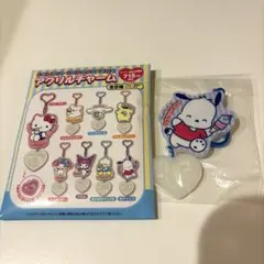 サンリオキャラクターズ♡アクリルチャーム♡ポチャッコ♡