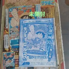 未開封 モンキー・D・ルフィ 限定付録P-033 少年ジャンプ ワンピースカード