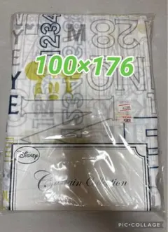 ボイル エイジdeミッキー レースカーテン 100×176cm 2枚組