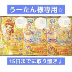 うーたん様専用