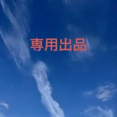 専用出品　マタニティマーク購入品