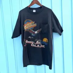 激レア 80s ハーレーダビッドソン ビンテージ ロンTシャツ ドラゴン