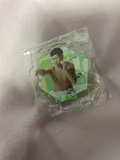 YA-MAN トレーディングカード RIZIN