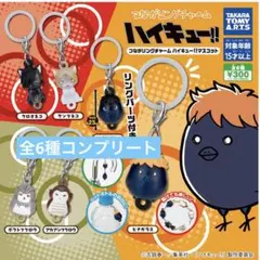 つながリングチャーム ハイキュー!!マスコット　6種コンプリートセット　めじるし