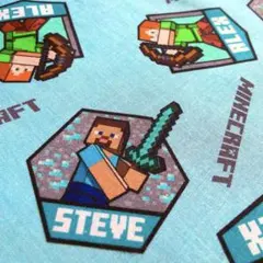 1515)マイクラスティーブアレックス生地